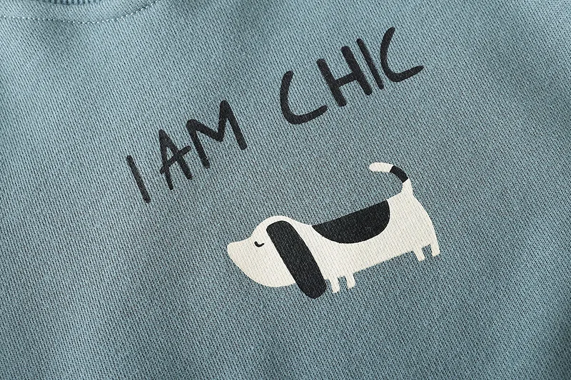 Комплект детской одежды на весну и осень футболка штаны с буквами Щенок для