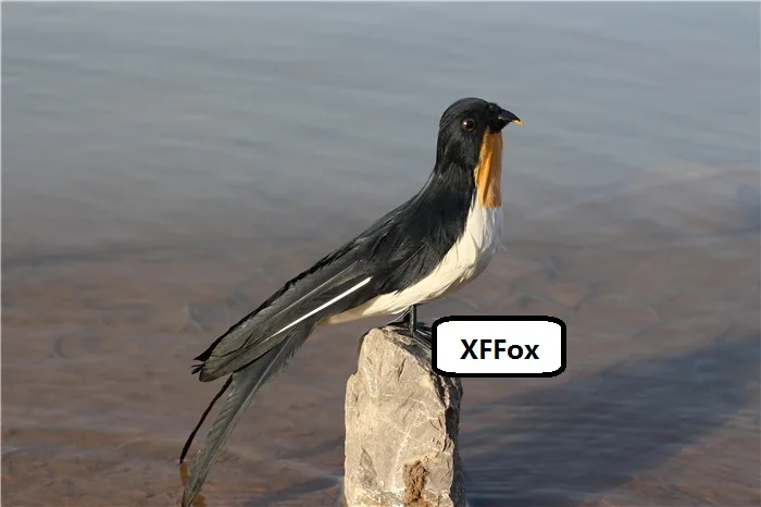 

new real life Swallow model polyethylene&furs simulation bird doll gift about 30cm xf2575