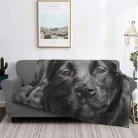 black labrador dog blanket bedspread bed plaid sofa anime plaid throw blanket blankets and diapers