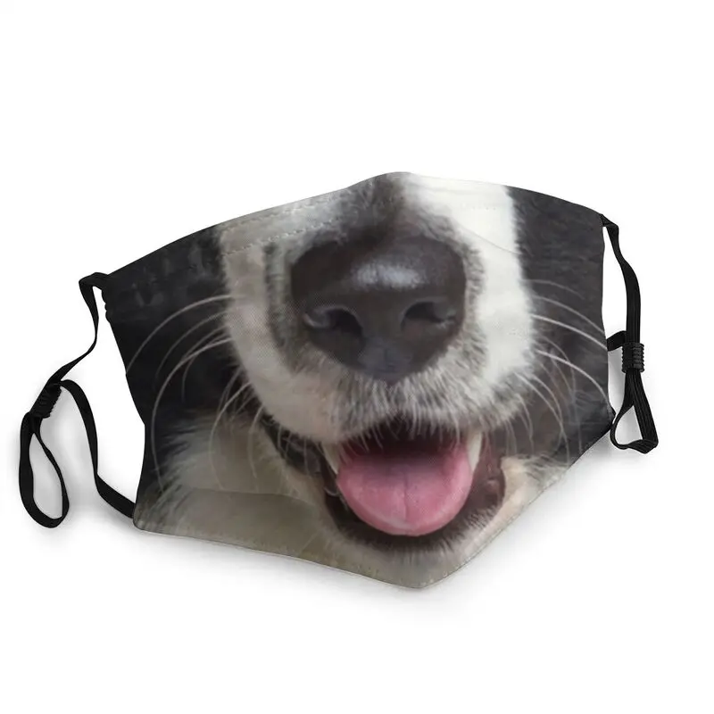 

Border Collie Dog Lover Quarantine Breathable Face Mask Adult Unisex Anti Haze Dust Protection Cover Respirator Mouth Muffle