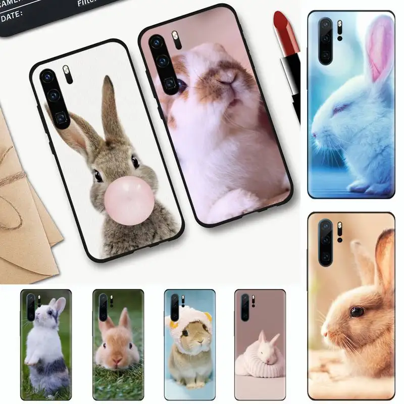 

animal Cute White Baby Rabbits Phone Case For Huawei honor Mate mate P 10 9X 10i 20 30 40 y7 nova 5t lite pro p smart 2019