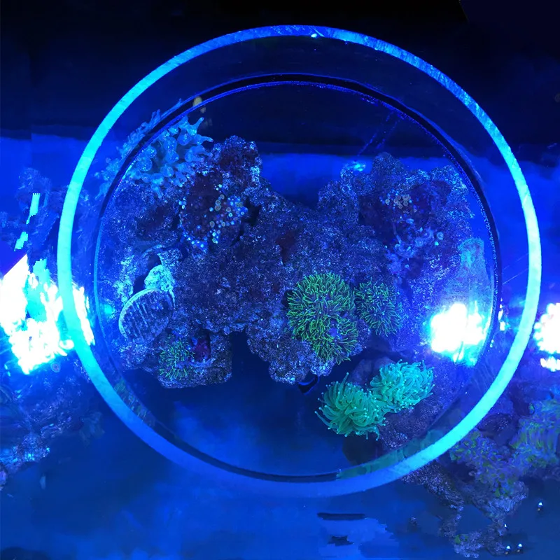 Аквариум морской коралловый риф танк SPS LPS аквариум смотровое зеркало воды