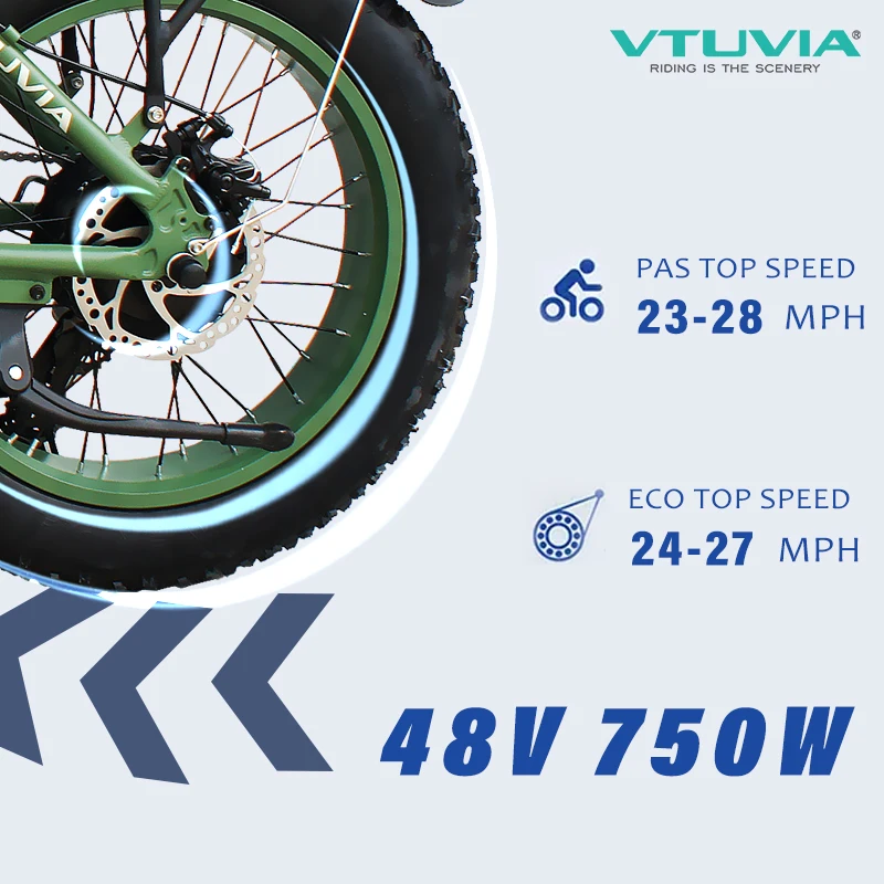 Online Elektrische Bike 750w 13A 20