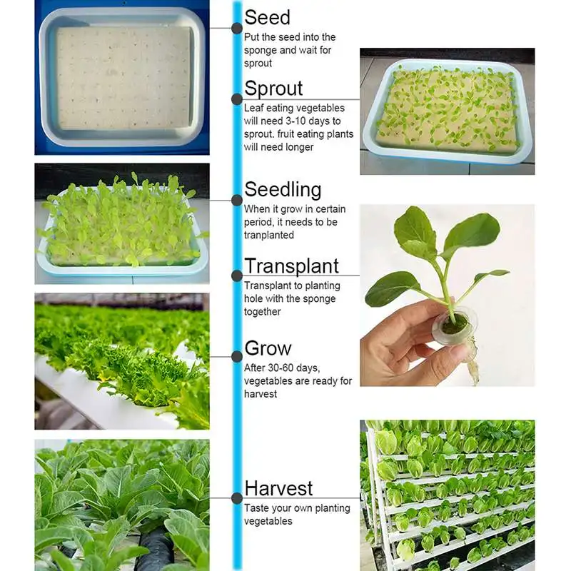 72 сайт гидропоники Системы кассета для рассады горшок помещений и сад расти