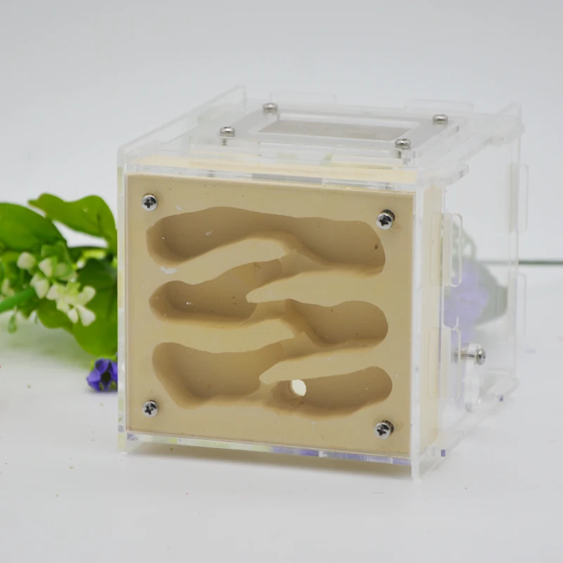 Plaster Ant Nest Acrylic Farm Ants Queen House Insect Cage Anthills Pet Granja De Hormiga Hormiguero Antfarm | Игрушки и хобби