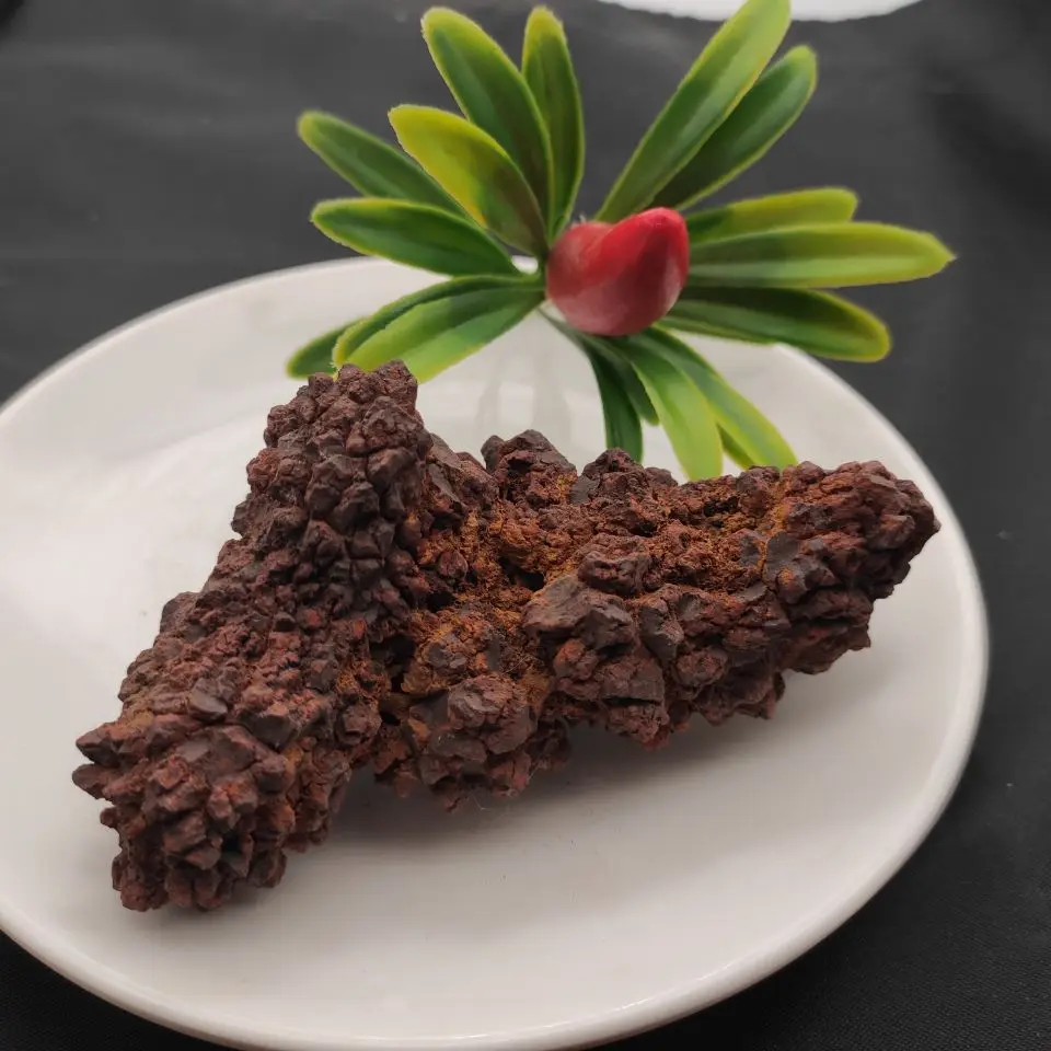 

Rare prehistoric raw dinosaur dung fossil for decoration gift