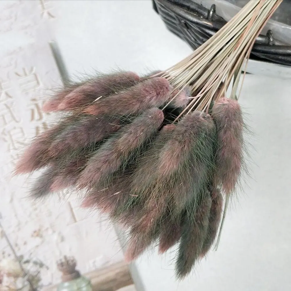 Gradient pink 30 шт./лот, градиентный букет из натуральных сушеных цветов laguurus Ovatus, сделай сам, свадебное украшение для дома, Кролик хвост, трава, настоящие цветы - Цвет: Gradient pink