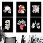 Черно-белая Анатомия мозга, винтажное настенное искусство, холст, живопись, скандинавские плакаты и принты, настенные картины для декора гостиной