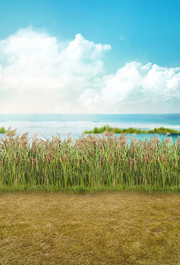 Виниловый фон для фотосъемки с природными пейзажами детский дня рождения