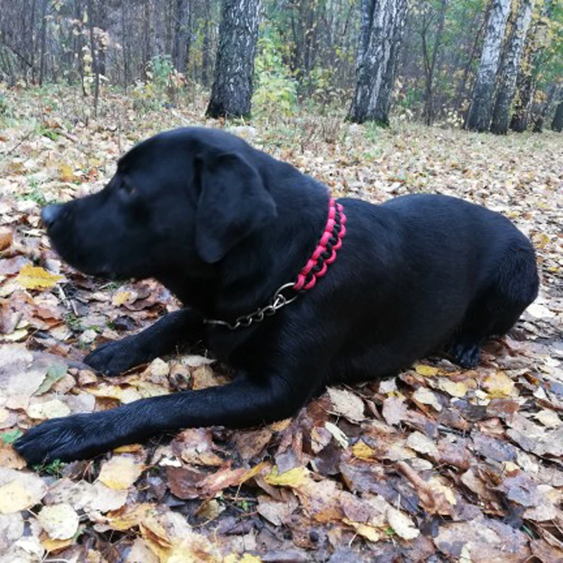 Широкий ошейник для собак регулируемый тренировочный с двойной планкой