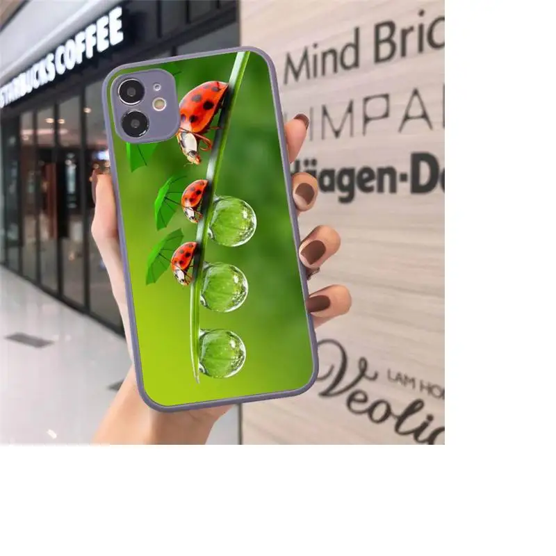 

flower leaf ladybug daisy Phone Case Matte Transparent for iPhone 7 8 11 12 s mini pro X XS XR MAX Plus cover funda shell