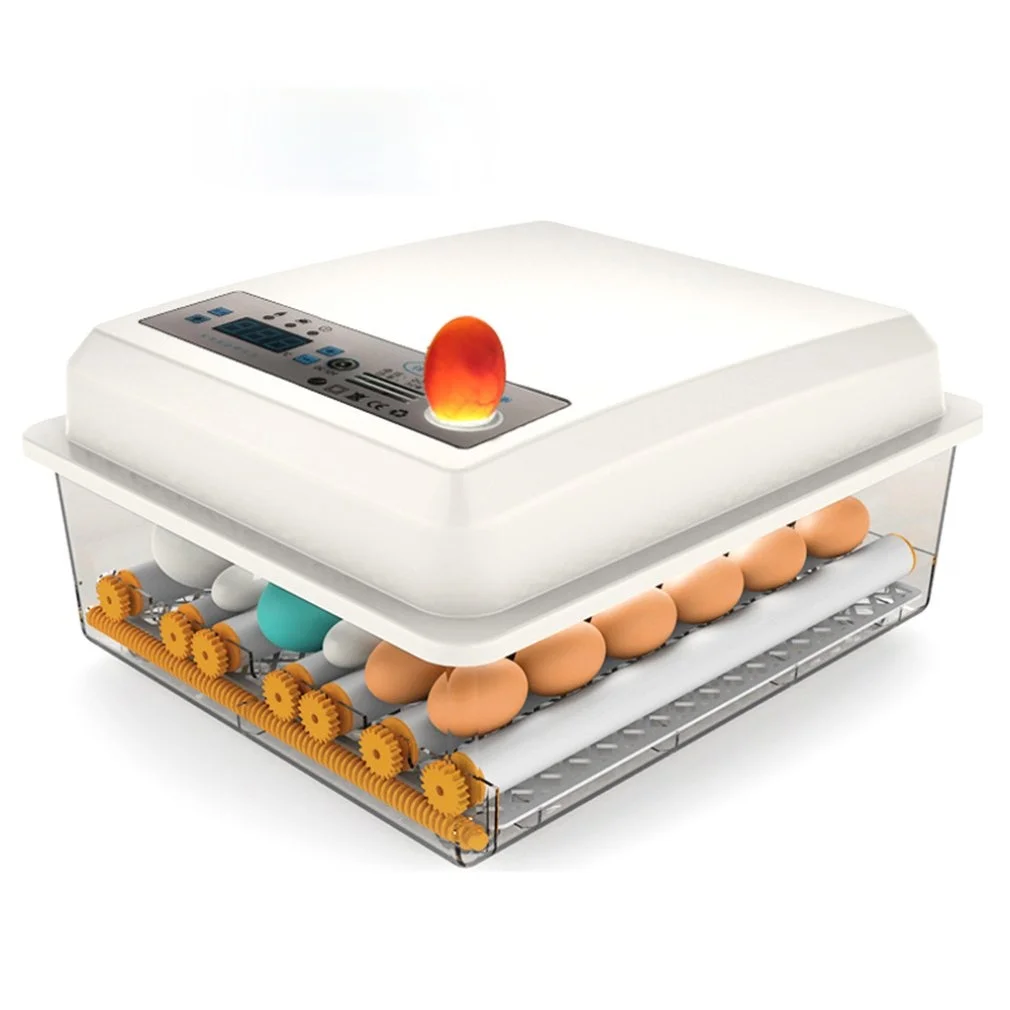 

Egg Incubator 16 Eggs Digital Automatic Mini Incubator With Turner For Turkey Goose Quail Egg Hatching Chicken Eggs