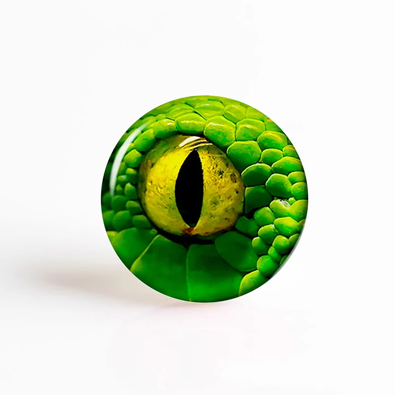 5 шт./лот, глаза животных, дракон, змея, Сова, кошка, тигровые глаза, стеклянный кабошон 25 мм, ручная работа, ювелирное изделие для DIY, ожерелье, браслет, глаз - Цвет: as show
