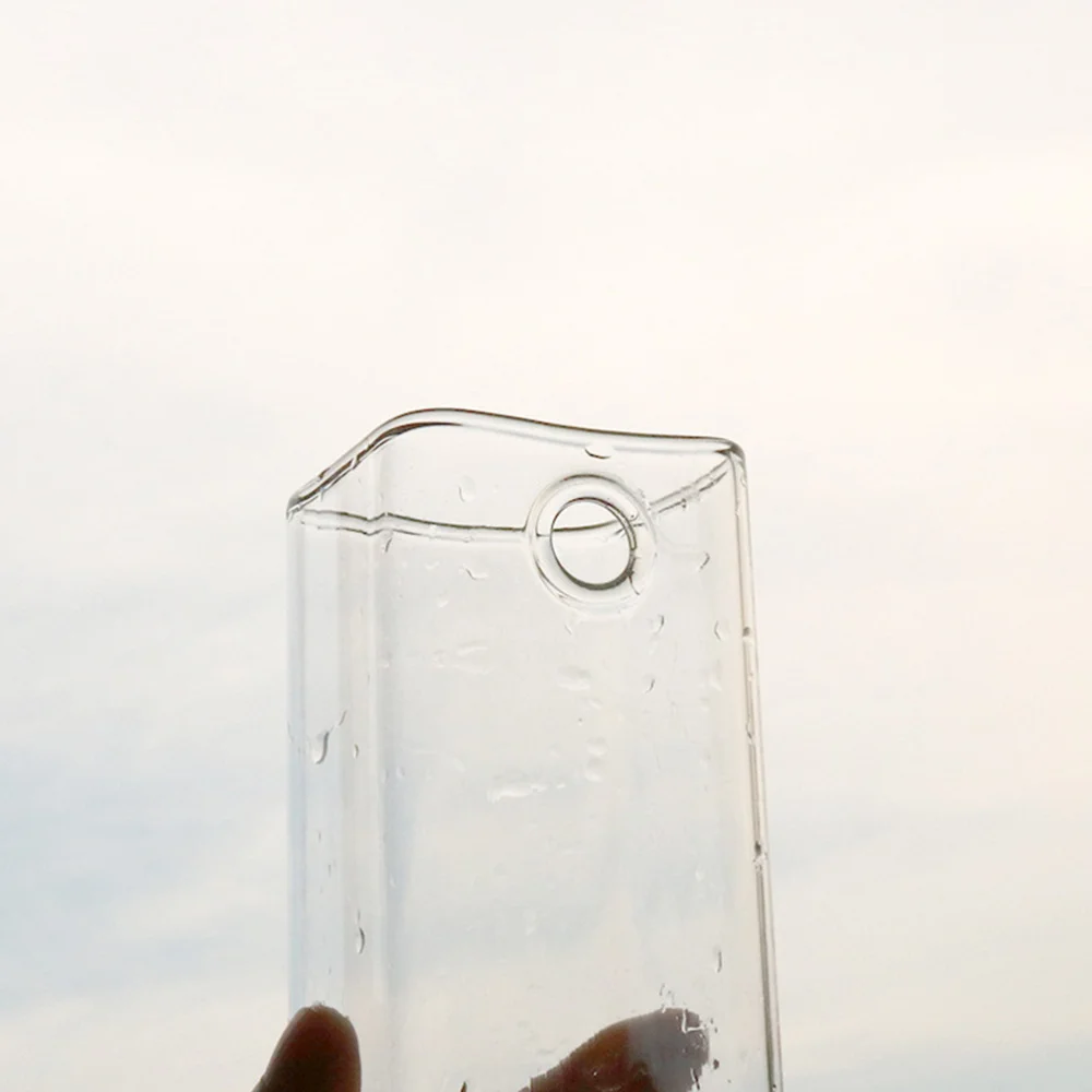 

Glass Flower Vase Creative Flower Water Planting Hanging Glass Vase Flower Planter Terrarium Container for Home (6x15CM)