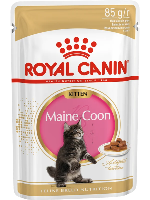 Cat wet food Royal Canin Maine Coon Kitten spider for cats (pieces in sauce) 24*85 gr | Дом и сад