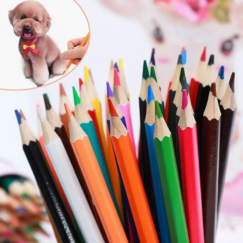 

Pack Of 50 50-Color School Curable Canvas Bag Art Supplies Safe Drawing Watercolor Pencil Painting Pencil Coloring Pen