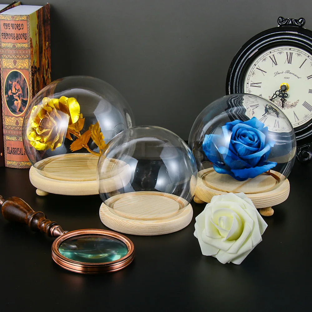 1 шт. сферическая стеклянная банка Клош крышка стенда Террариум бутылка с