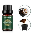 Афродизиак феромон, интимный возбуждающий массажер, масло для либидо для женщин, натуральный усилитель либидо для ароматерапии, жидкий оргазм для мужчин и женщин, 10 мл