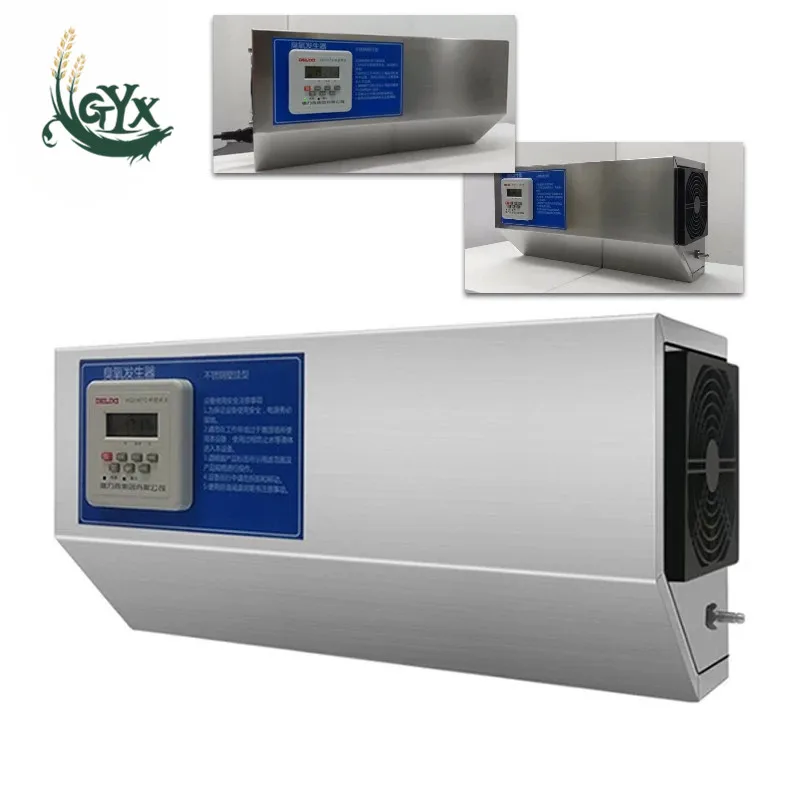 

5g/wall-mounted ozone generator/food factory/laboratory/school canteen/office sterilization ozone disinfection machine