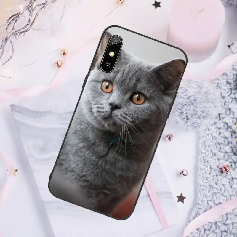 

British shorthair cat Phone Case For Xiaomi Redmi note 7 8 9 pro 8T 9A 9S Mi Note 10 Lite pro
