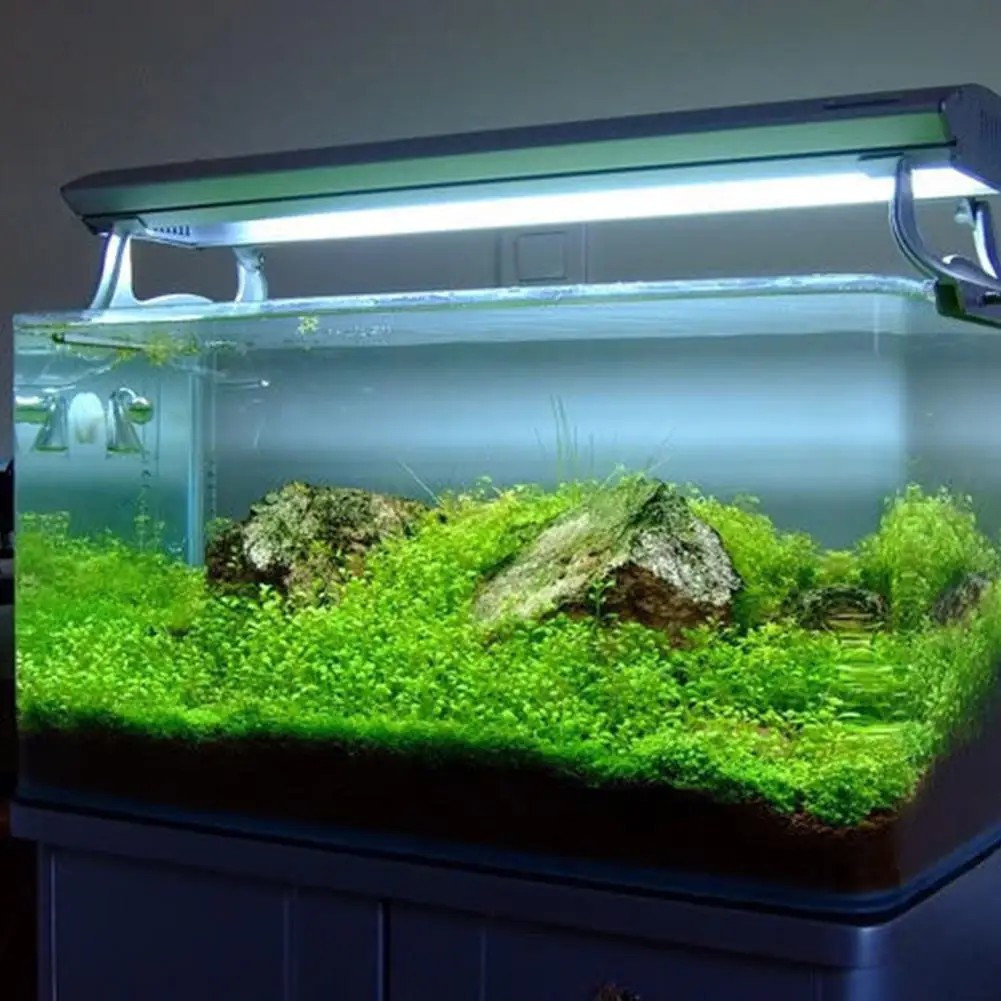 Аквариумные семена растений водная вода украшение из травы как садовый аквариум