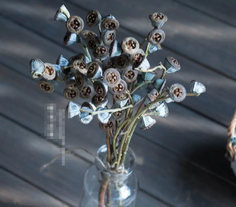 Сушеные цветы с солнечной системой Botany особенно увеличивающие голубой