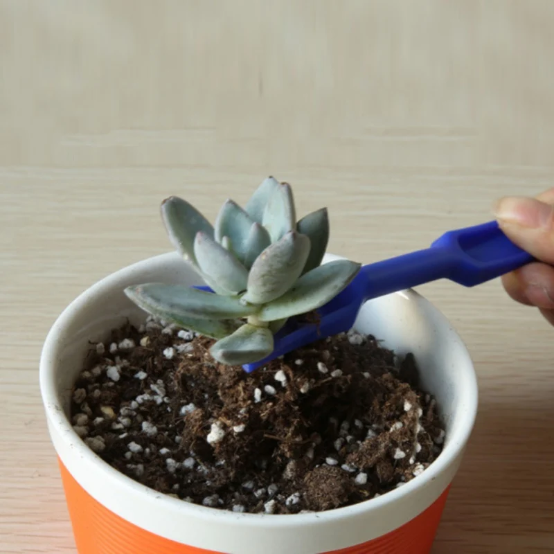 2 шт./компл. суккулентные плантаторы для растений инструмент копания поддонов