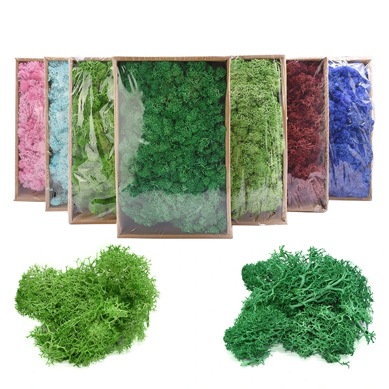 

40g Natural Moss Landscape Plant Artificial Craft Flower Micro Landscape Accessories Garden Home Decoration Wall Colorful Grass