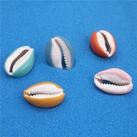 30pcs printed natural shell beads undrilled colorful shell diy jewelry accessories necklace finding making connector bracelet