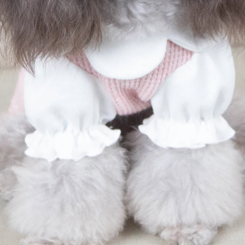 Платье для кошки Чихуахуа Йоркширский терьер одежда маленьких собак зимний
