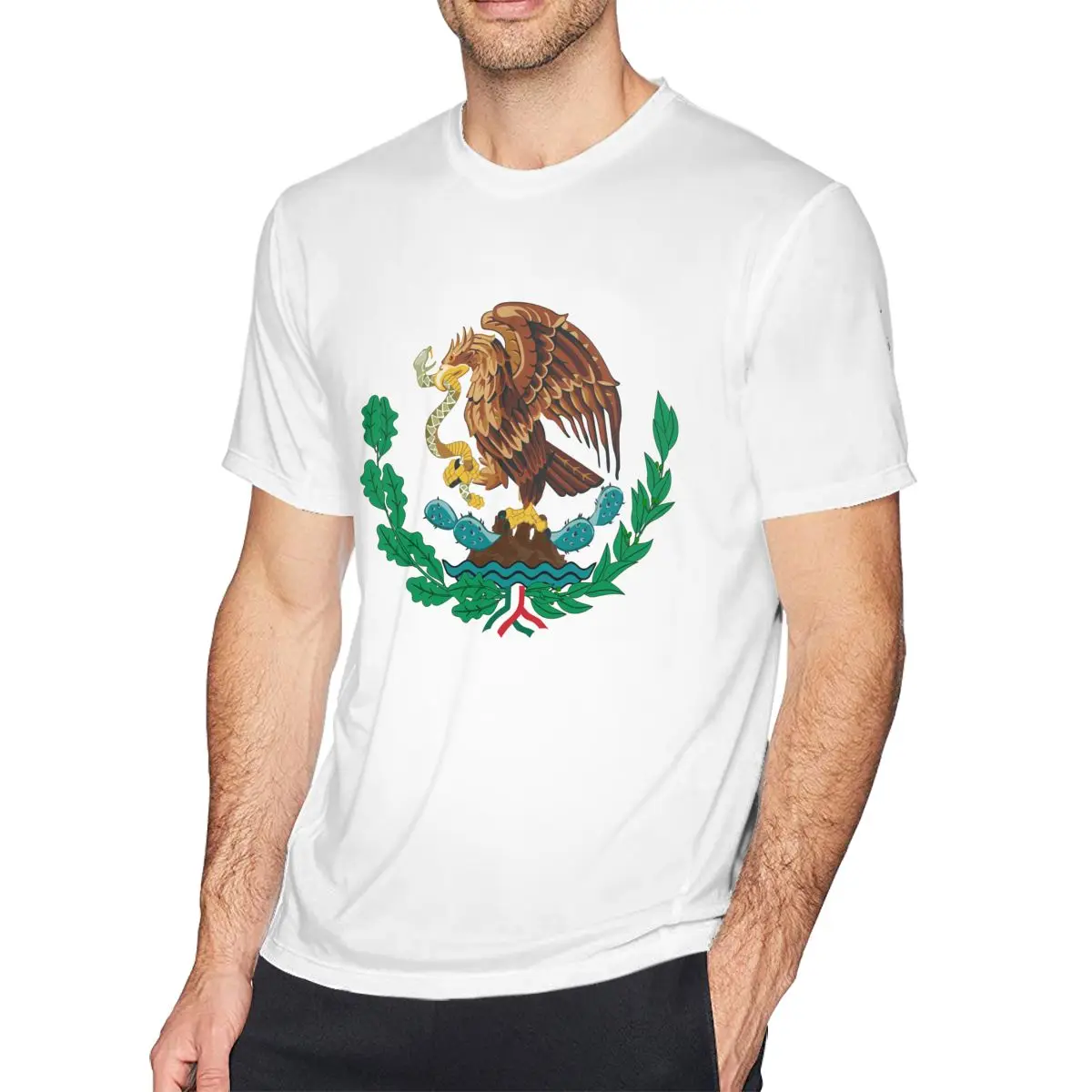 2019 Новый стиль корейский Мужская Мексиканский Флаг Орел хлопок короткий рукав