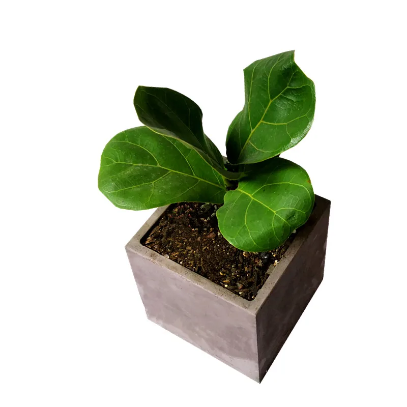 

12cm Square Shape Concrete Flower Pot Silicone Mould Cement Flowerpot Molds For Succulent Plants Home Dec