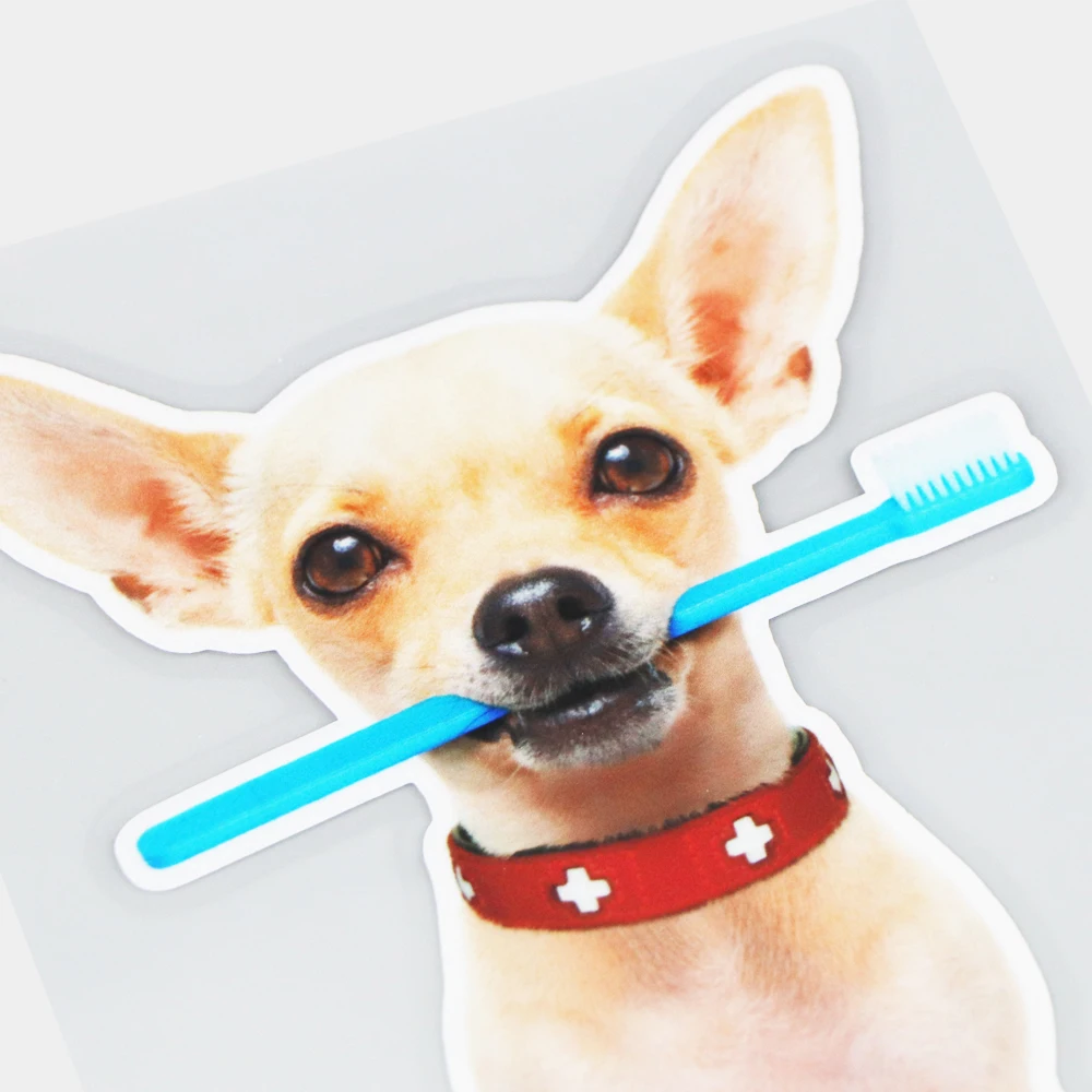 

YJZT 1017.5CM Dog Brushing Teeth Funny Car Stickers Personality Body Decoration Accessories 21A-1072