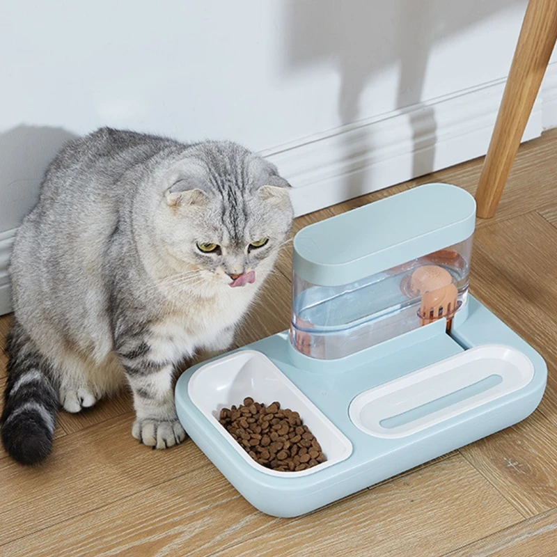 

Double Cat Bowls Dog Bowls And Cat Food Bowls With Pet Automatic Water DispenseR