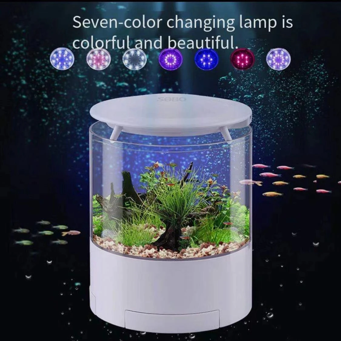 Round colorful lights desktop fish tank mini fighting fish tank small gold fish tank lighting filter oxygen aquarium accessories