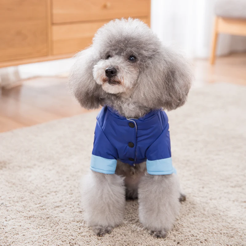 Hipidog Новое поступление зимняя одежда для собак с принтом из мультфильма пальто на