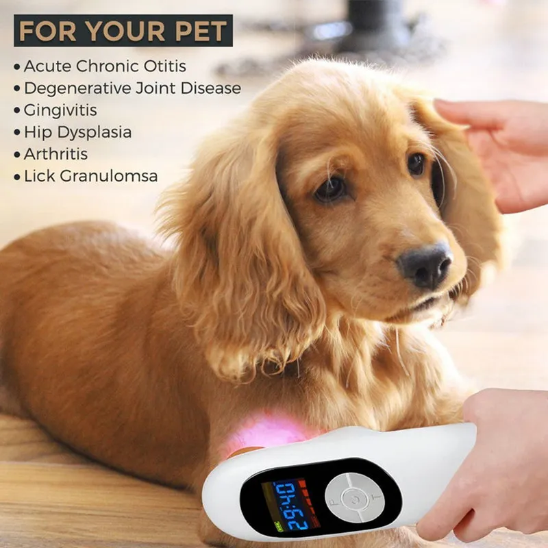 COZING Cold Laser Therapy Powerful Pain Relief Device Pet Friendly W/Glasses GUARANTEED | Красота и здоровье