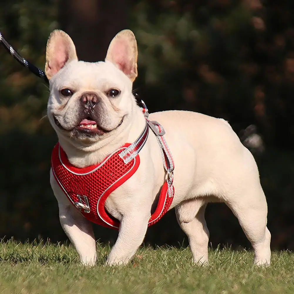 

HOT SALESï¼ï¼ï¼Chest Strap Reflective Explosion Proof Polyester Pet Dog Traction Rope for Walking