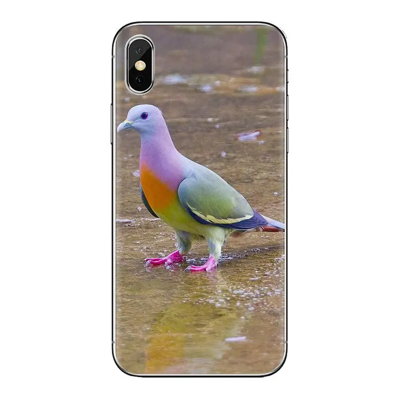 For Samsung Galaxy S3 S4 S5 Mini S6 S7 Edge S8 S9 S10 Plus Note 3 4 5 8 9 Pastel Pigeon Free beautiful bird Silicone Phone Cover |