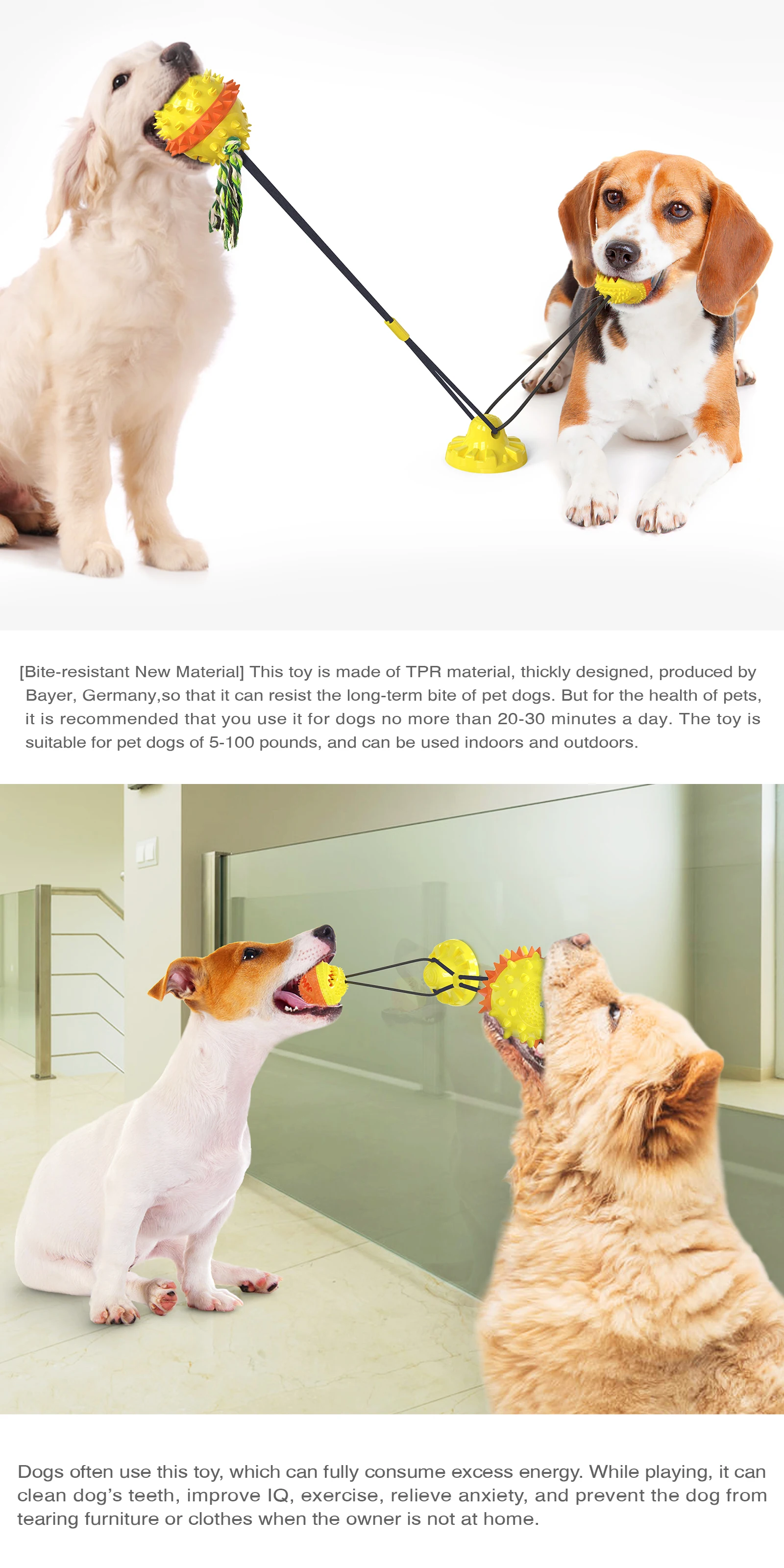 

Toys for Dogs Rubber Dog Ball For Puppy Funny Dog Toys For Pet Puppies Large Dogs Tooth Cleaning Snack Ball Toy For Pet Products