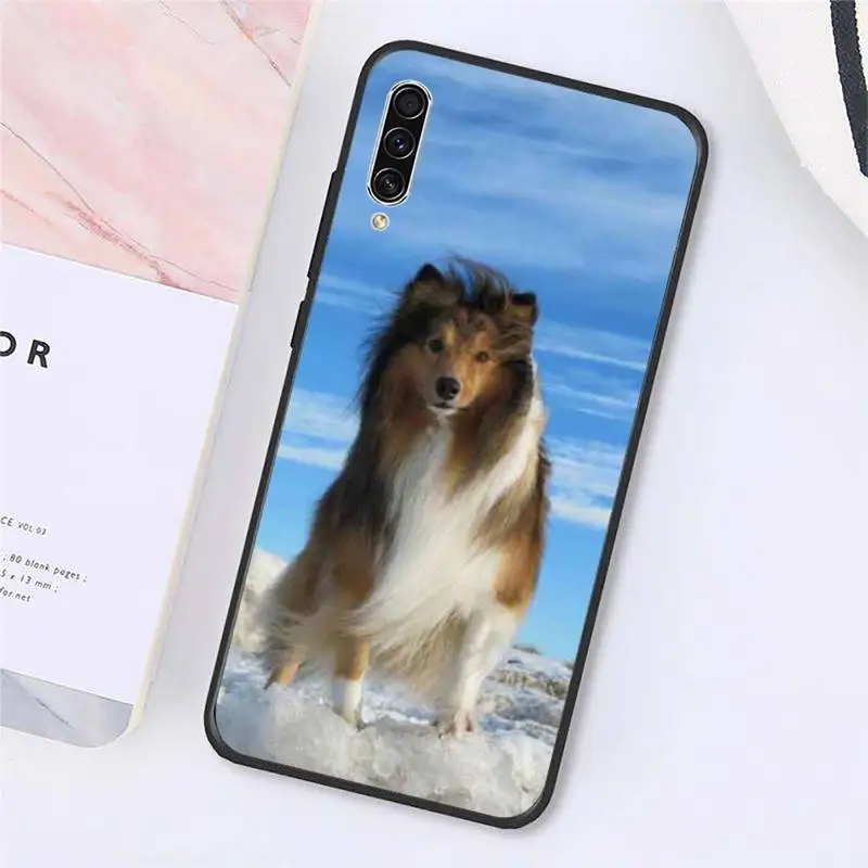 

Funny Animal Sheltie dog Phone Case For Samsung galaxy A S note 10 7 8 9 20 30 31 40 50 51 70 71 21 s ultra plus