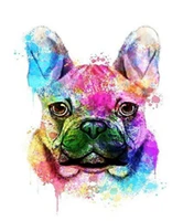 colored dog animals handmade diy oil paint paint by numbers kit on canvas wall art home decor digital painting for family