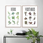 Плакат в скандинавском стиле, принты, минималистичные травы, изображение овощей, Настенная картина на холсте, Модульная картина для гостиной, Современное украшение для дома
