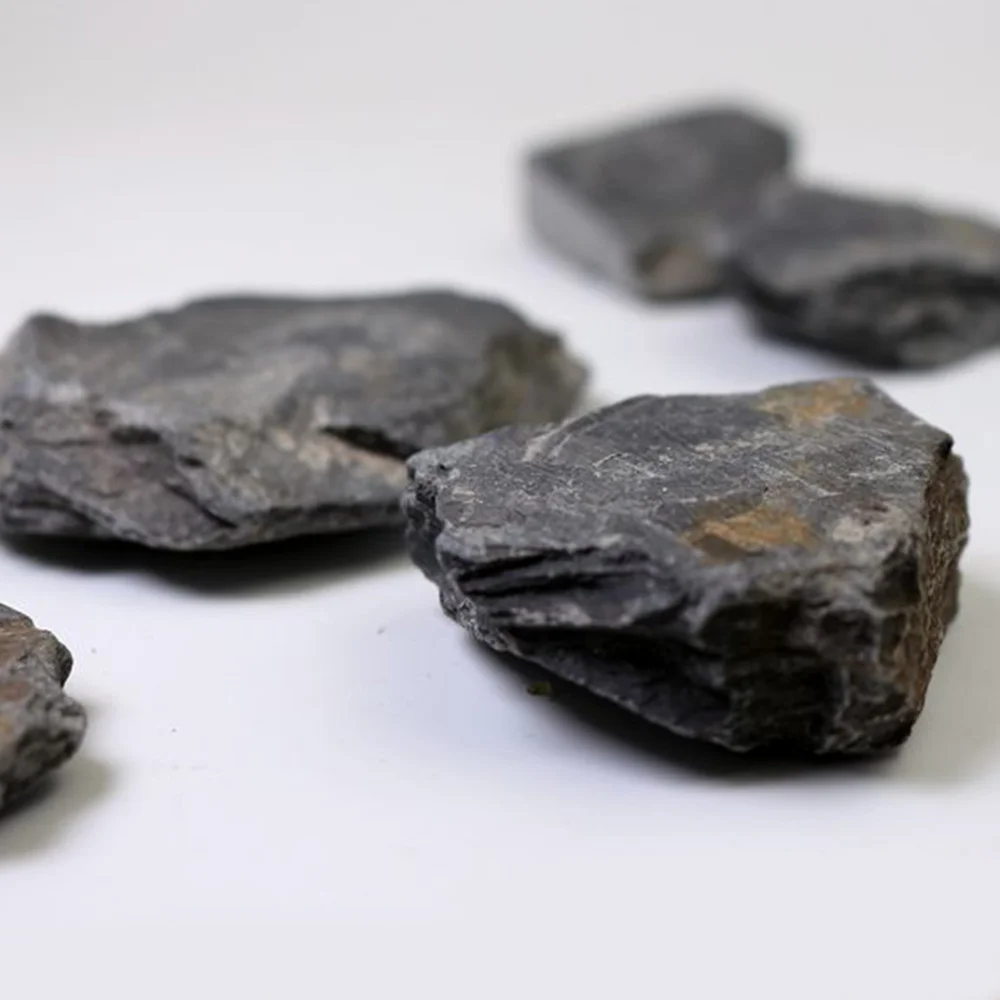 

1 Pcs Trilobites Fossil Biota Science Fossil Stone Specimen Collection Supplies Teaching Science Specimen Home Decor