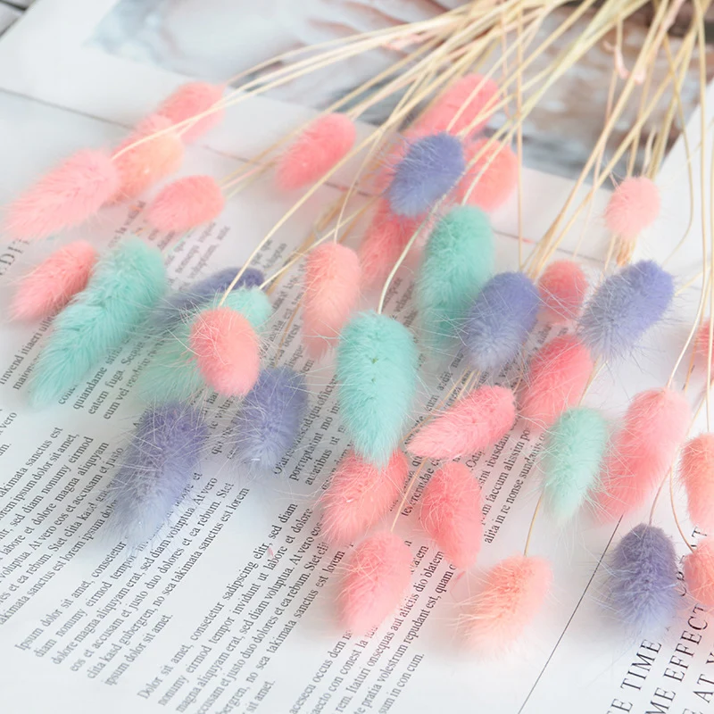 

20Pcs Rabbit Tail Grass Natural Dried Flowers For Home Decoration Flower Arrangement Long Bunches Bouquet Props Home