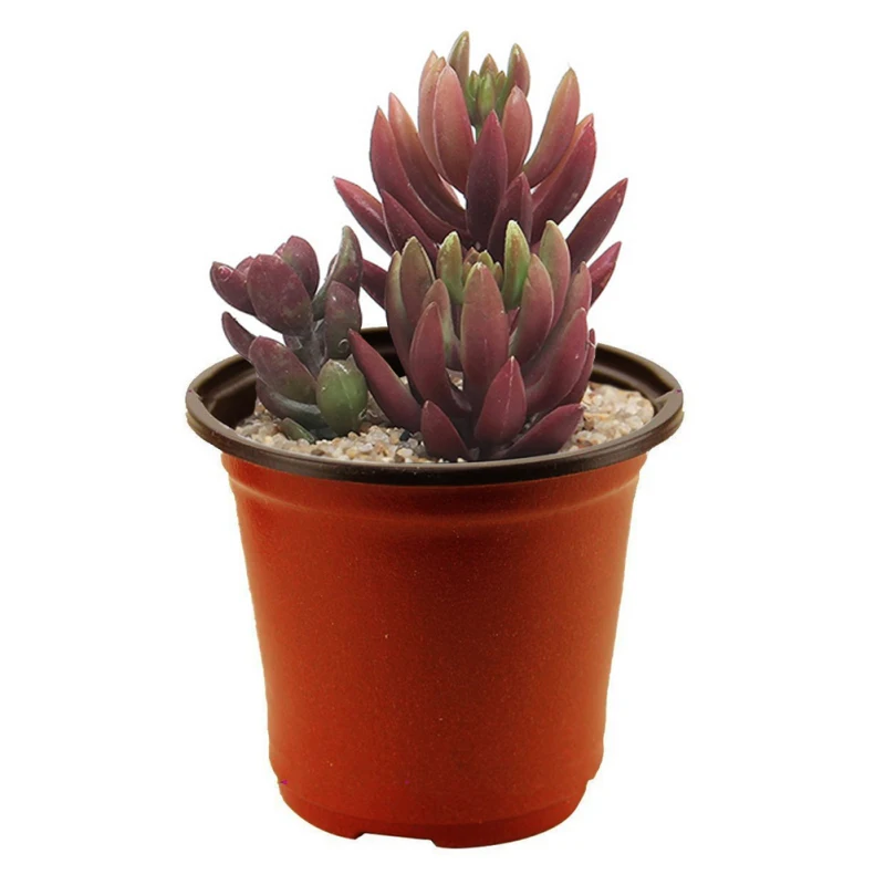 

90x60x80mm two-color flower pot for planting tools small of gardening pots accessories soft and succulents plastic