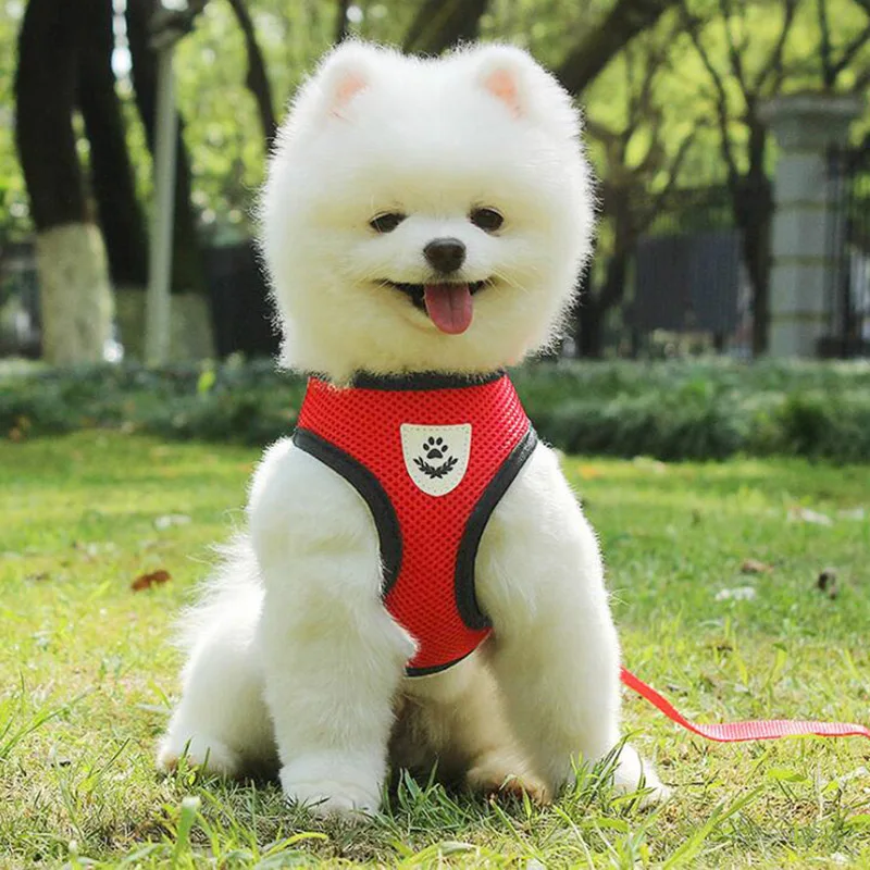 Жилет для щенков и кошек ошейник маленьких собак аксессуары чихуахуа arnes para perro с
