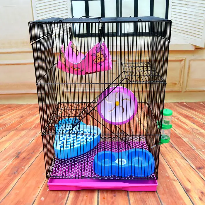 Трехэтажный демон король белка медовый мешок летняя крыса вилла большой хомяк