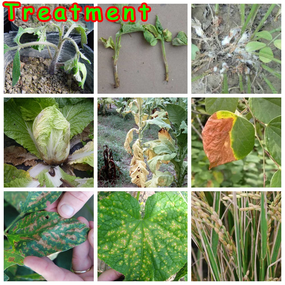 Лекарственные препараты для лечения болезней растений пестициды фунгициды