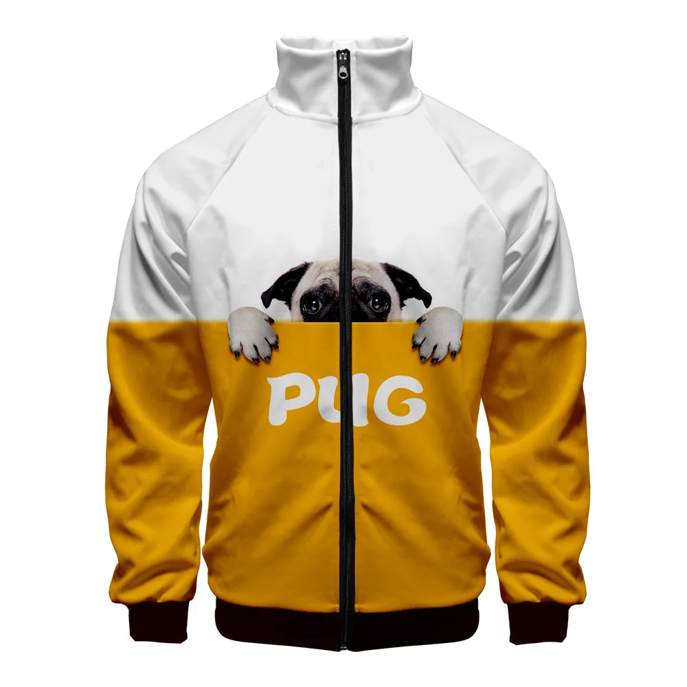 Толстовка Мужская/Женская с воротником стойкой на молнии|Мужские толстовки и